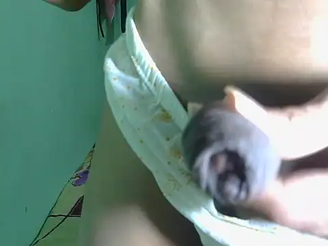 SIHUMISEXY online show from 8, 3, 2026