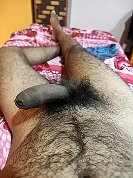 pmr1997 online show from 9, 11, 2025