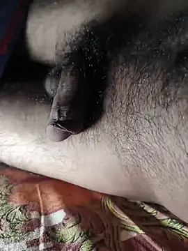 Mr skywalker online show from 28, 3, 2026