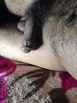 Mr skywalker online show from 4, 2, 2026