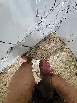 Pauloosil online show from 12, 3, 2025