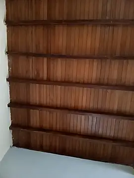 Sexi girl29 online show from 11, 2, 2026