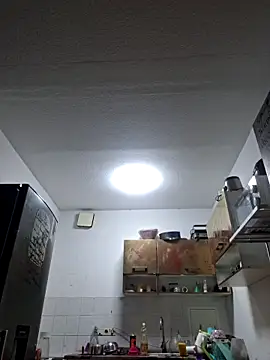 Snapshot of ThePython666 chatting on 8, 11, 2025 ThePython666 online show from 8, 11, 2025