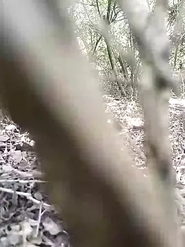 Snapshot of CertifiedSatisfier chatting on 12, 11, 2025 CertifiedSatisfier online show from 12, 11, 2025