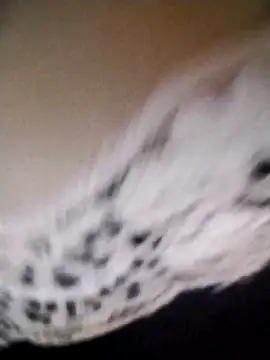 az9ovsqjqhva online show from 8, 11, 2025