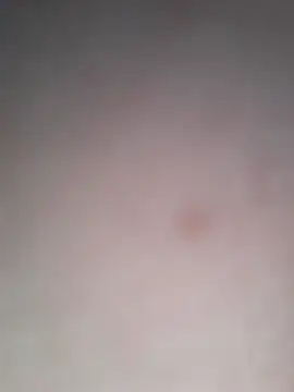 Nick-Ox online show from 9, 11, 2025