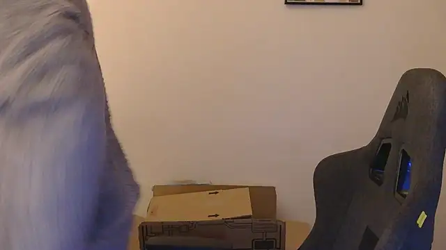 orangegummybear online show from 29, 9, 2025
