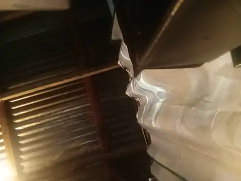 rasvinchi online show from 1, 6, 2026