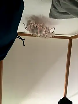 Hugo34bg online show from 6, 10, 2025