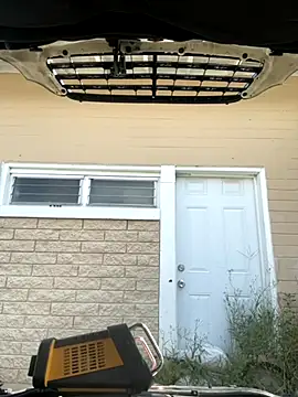 Foxdaguy online show from 20, 9, 2025