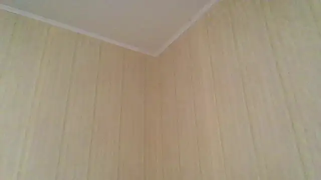 Snapshot of _Black-Panther_ chatting on 13, 11, 2025 Black-Panther online show from 13, 11, 2025