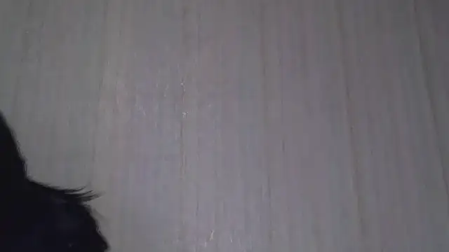 Snapshot of _Black-Panther_ chatting on 20, 10, 2025 Black-Panther online show from 20, 10, 2025