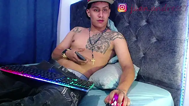 Stone grey1  online show from 14, 2, 2026