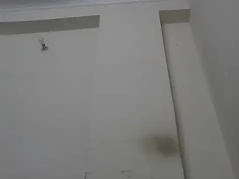 sutfvkii online show from 26, 9, 2025