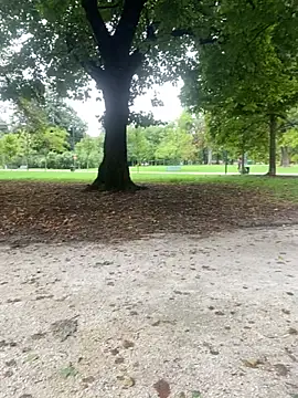 Rimmingtop online show from 26, 9, 2025