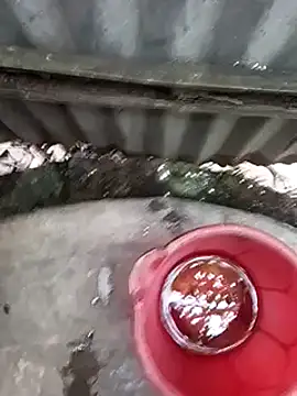 Ayush pussy fucker online show from 16, 11, 2025