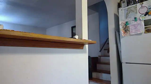 jonnygoodtimes online show from 15, 11, 2025