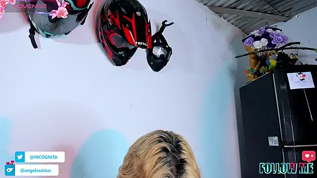 Snapshot of adam_angelssss chatting on 19, 11, 2025 adam angelssss online show from 19, 11, 2025