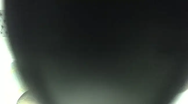 elizabeth swan18 online show from 17, 3, 2025