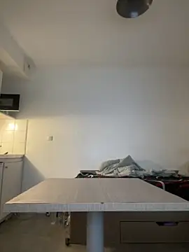 Renoirmonter online show from 23, 9, 2025