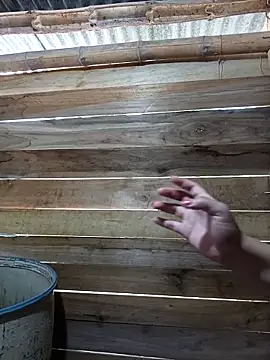 Trilyn25 online show from 14, 11, 2025