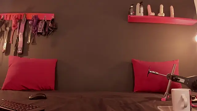 ammytorrez  online show from 7, 11, 2025