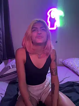 Harley cams online show from 20, 9, 2025