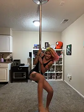 Harley cams online show from 18, 9, 2025