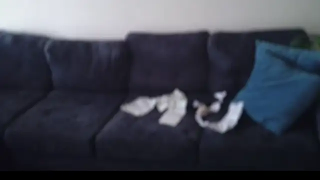 shurthingx online show from 10, 4, 2026