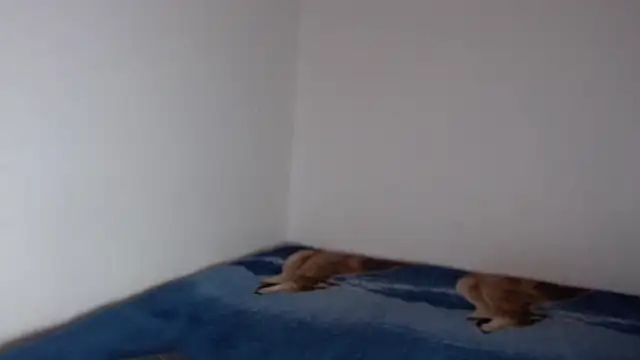 Snapshot of sharon_sexy_ chatting on 23, 11, 2025 sharon sexy online show from 23, 11, 2025