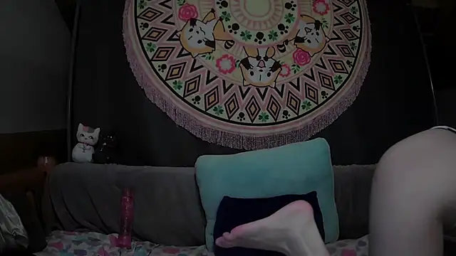 sopia2 online show from 24, 2, 2026