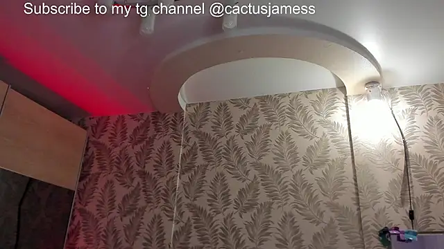 Cactus  James online show from 12, 2, 2026