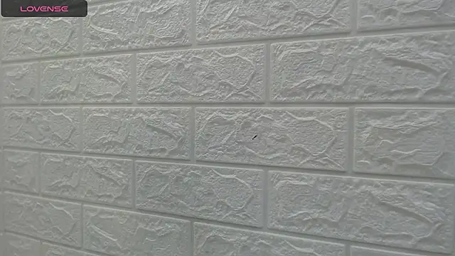 nei girl online show from 28, 9, 2025