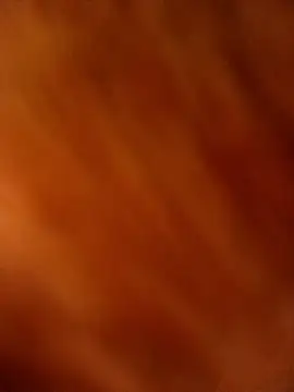 A-1PLAYBOY0 online show from 8, 1, 2026