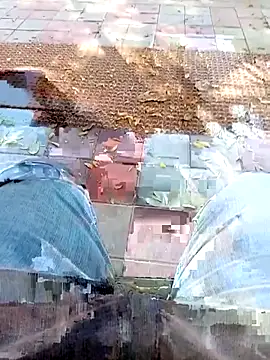 A-1PLAYBOY0 online show from 6, 3, 2026