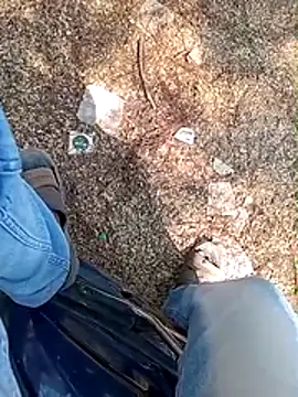 A-1PLAYBOY0 online show from 13, 1, 2026