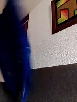 dulcewitch online show from 29, 11, 2025