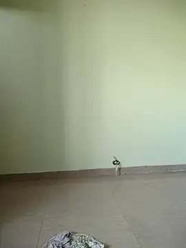 Snapshot of Desi_Bhabi_01 chatting on 17, 11, 2025 Desi Bhabi 01 online show from 17, 11, 2025