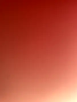 bankruptbabe online show from 11, 9, 2025