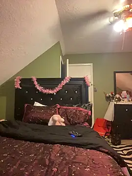 bankruptbabe online show from 25, 3, 2026