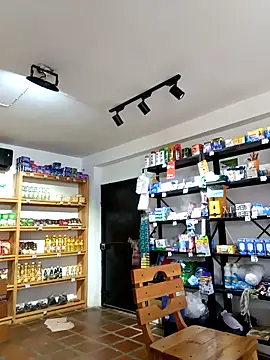 elnegro707070 online show from 23, 11, 2025