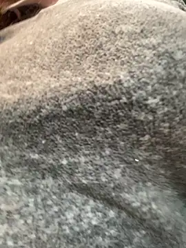 w3tkittty online show from 5, 1, 2026