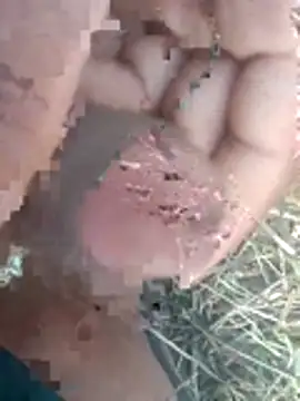 perplexedsoul online show from 1, 12, 2025