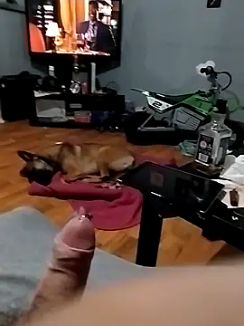 Tattyrob87 online show from 21, 3, 2025