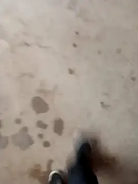 luuiss12 online show from 23, 9, 2025