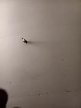 Snapshot of Thenaughtyboy360 chatting on 7, 10, 2025 Thenaughtyboy360 online show from 7, 10, 2025