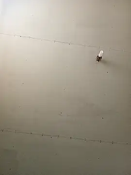 Snapshot of Thenaughtyboy360 chatting on 11, 1, 2026 Thenaughtyboy360 online show from 11, 1, 2026