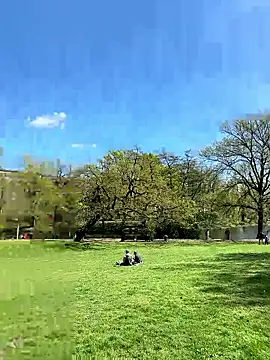 NoLimit365 online show from 23, 4, 2026