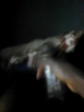 Snapshot of mydickbedarkandthick chatting on 23, 11, 2025 mydickbedarkandthick online show from 23, 11, 2025