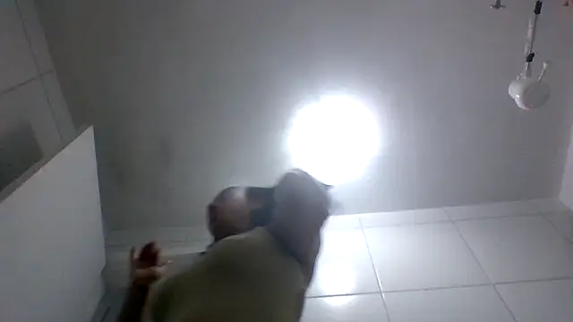 querida777 online show from 30, 11, 2025